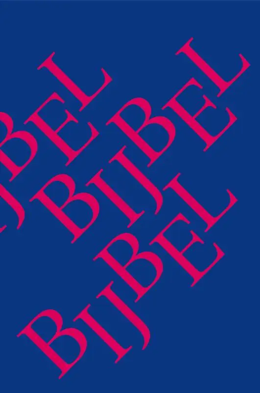 Bijbel NBV 12x18 X-tra sterk