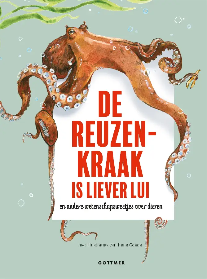 Reuzenkraak is liever lui
