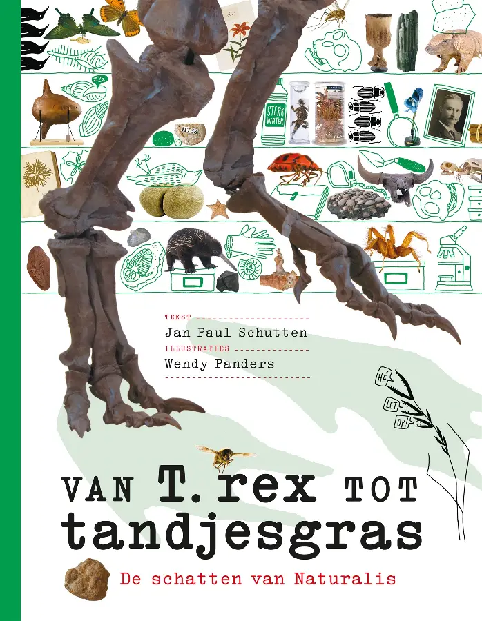 Van t. rex tot tandjesgras