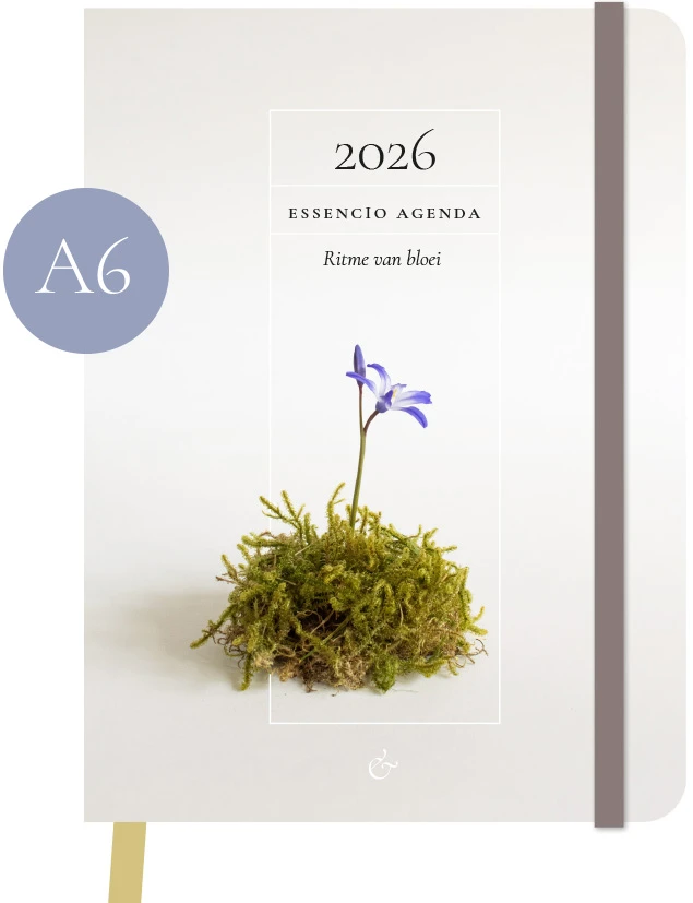 Essencio Agenda 2026 klein a6