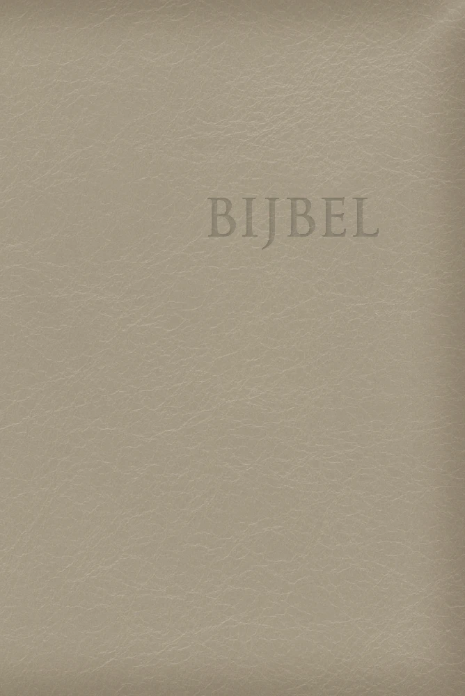 Bijbel HSV edge lined - champagne