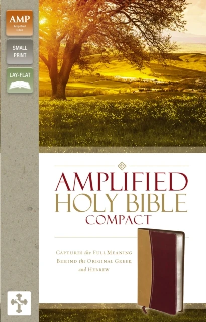 Amplified Bible