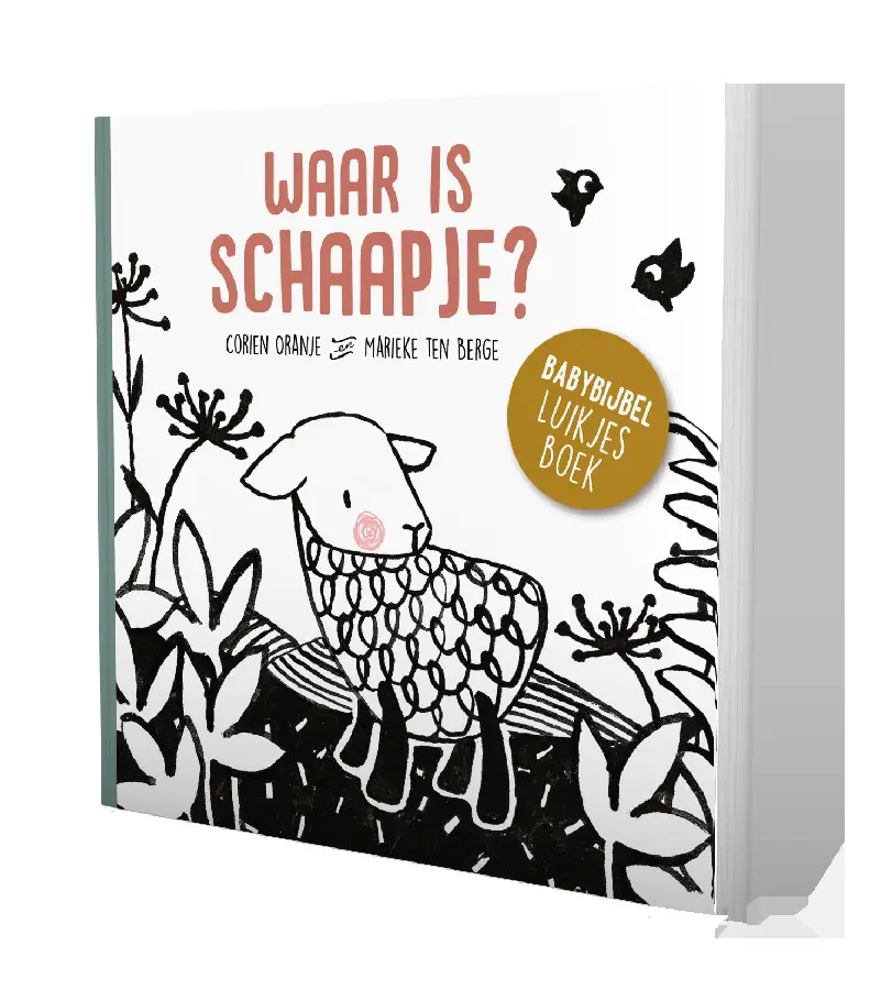Waar is schaapje? kartonboek