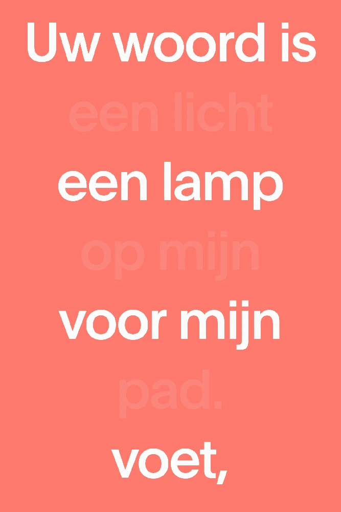 NBV21 midsize paperback