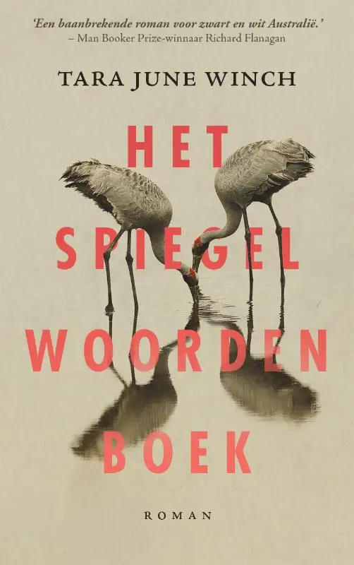 Spiegelwoordenboek
